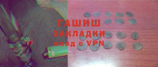 хмурый Аркадак