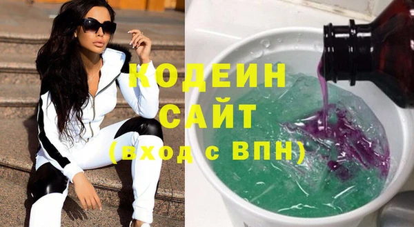 хмурый Аркадак