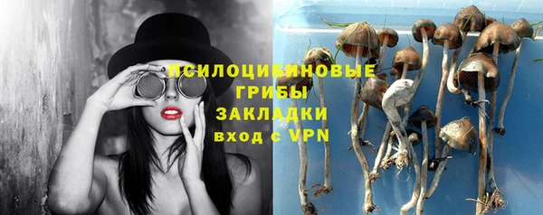 хмурый Аркадак